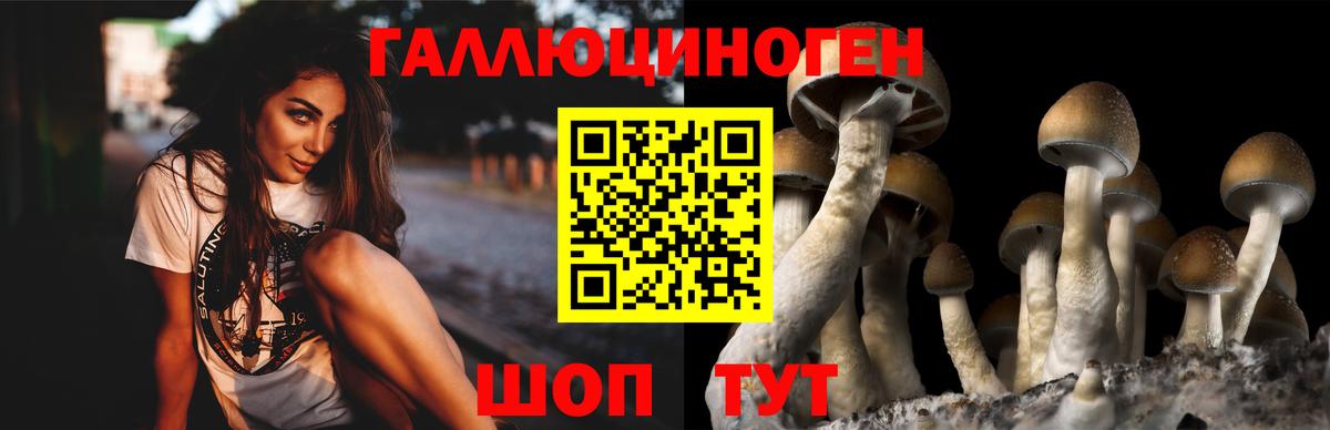 Псилоцибиновые грибы Psilocybine cubensis  Вход с VPN  Псилоцибиновые грибы Magic Shrooms  закладка  Полысаево 